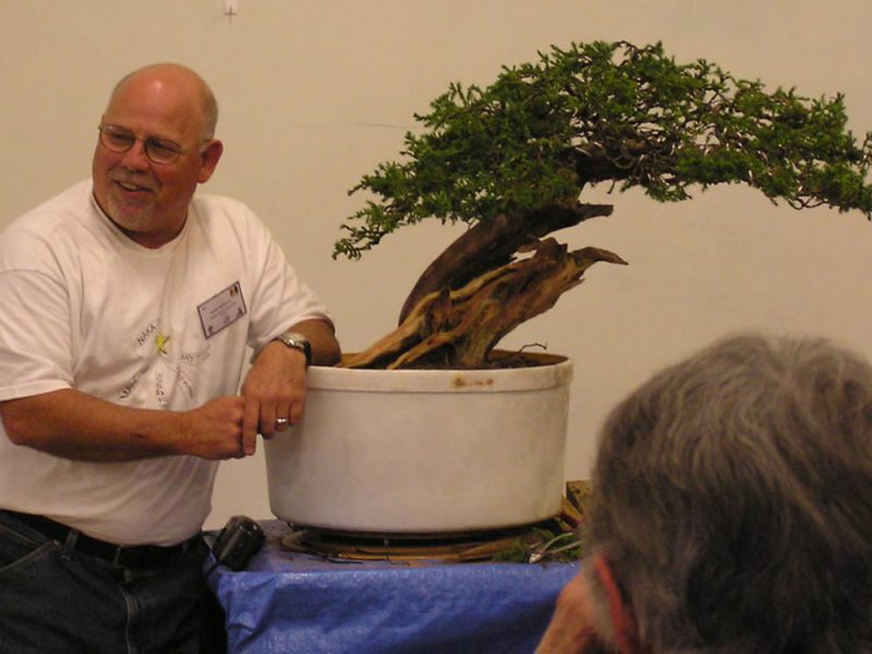 History of the Hamilton Bonsai Club Hamilton Bonsai Club